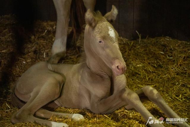 圖片關(guān)鍵詞 圖片關(guān)鍵詞