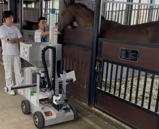 圖片關鍵詞 圖片關鍵詞