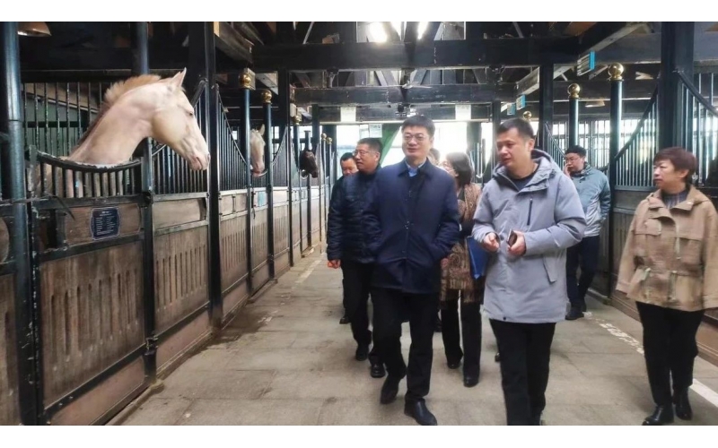 高雷副廳長在野馬集團調(diào)研時表示，要通過科技助力，精準解決“卡脖子”問題