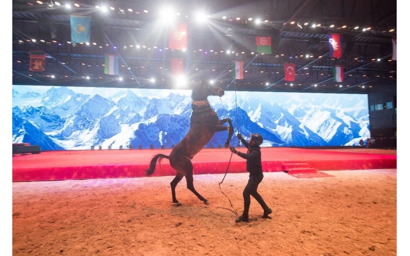 住馬酒店、吃馬肉腸、喝馬奶粉、品馬奶酒--