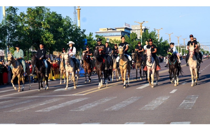 天馬故鄉(xiāng)昭蘇縣舉辦汗血馬巡游活動(dòng)